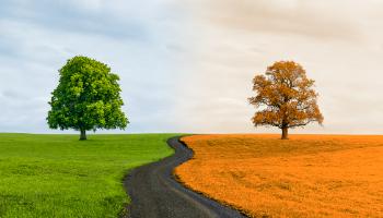 Ermittlung von Ware in Arbeit in SAP S/4HANA